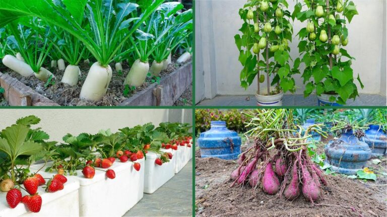 Diese einfache Methode verwandelt deinen Garten in ein süßes Gemüseparadies …