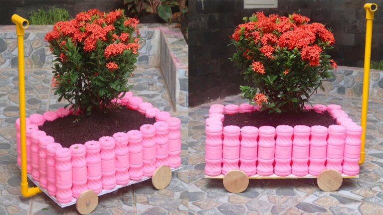Mit diesem vergessenen Trick verwandelst du Plastikflaschen in einen bezaubernden