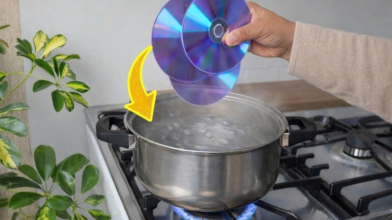 Mach aus alten CDs 5 kreative Geldideen für dein Zuhause!
