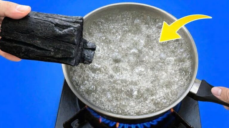 Koche Holzkohle und verdiene 5 Dollar mit diesem überraschenden DIY-Trick!