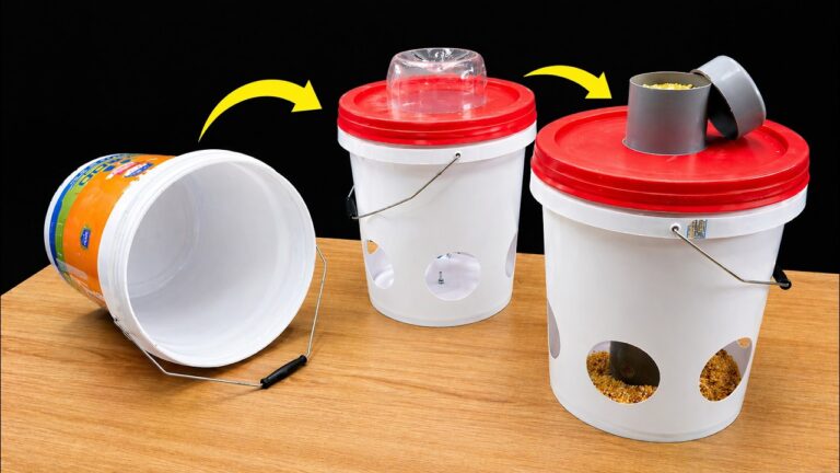 5 geniale DIY-Ideen mit leeren Plastikflaschen, die du sofort ausprobieren musst!