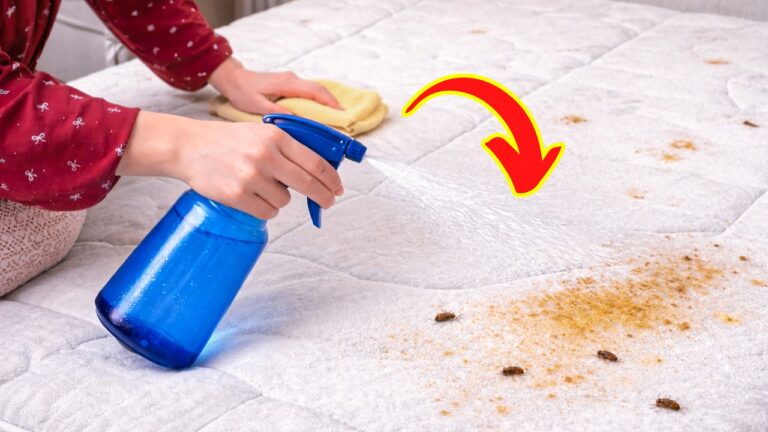Mattress-Reinigung: 5 einfache Schritte für frische und saubere Matratzen!