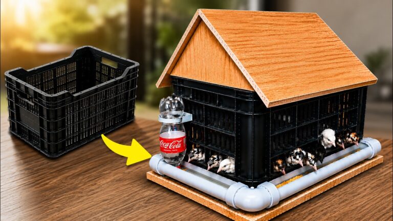 5 kreative Ideen: So baust du aus alten Kisten einen einzigartigen Hühnerstall!