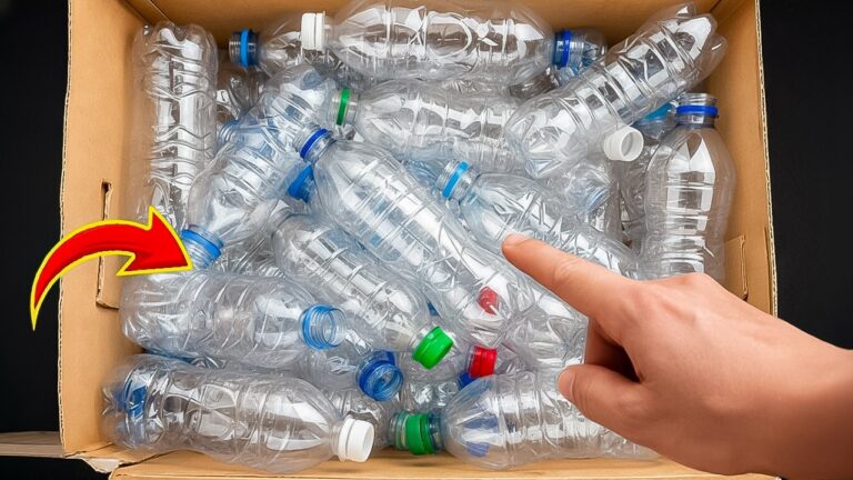 5 geniale Ideen zur Wiederverwendung alter Plastikflaschen für dein Zuhause