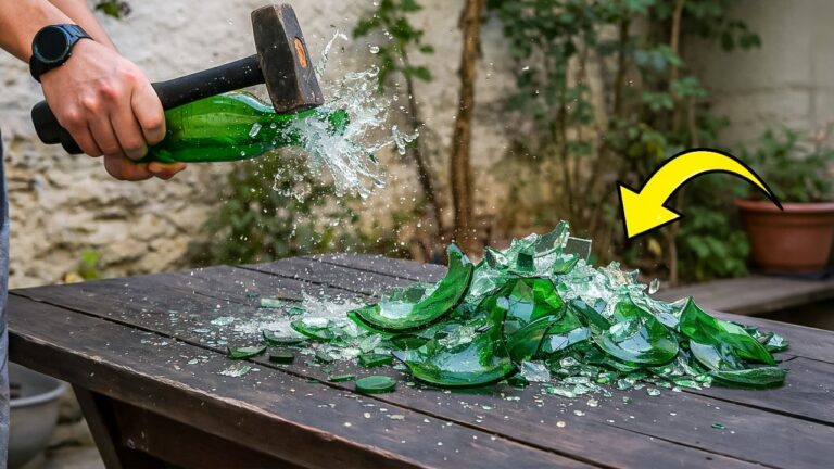 5 kreative DIY-Ideen für alte Glasflaschen, die du lieben wirst!