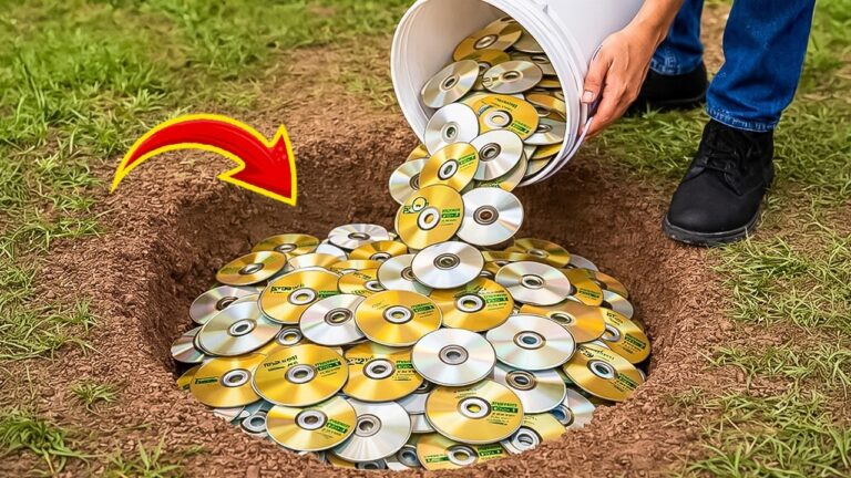 Verdiene 100 Euro mit dieser genialen Idee aus alten CDs! So leicht geht’s!